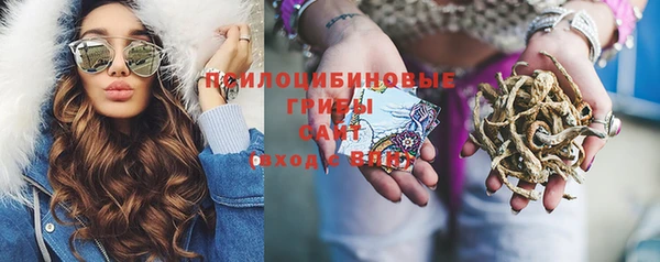 Альфа ПВП Рославль