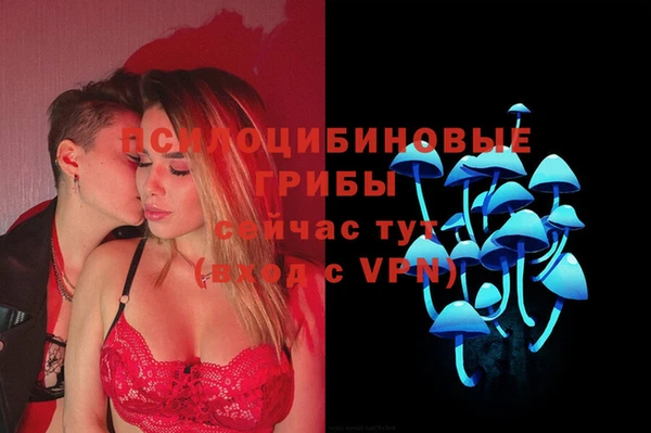 Альфа ПВП Рославль
